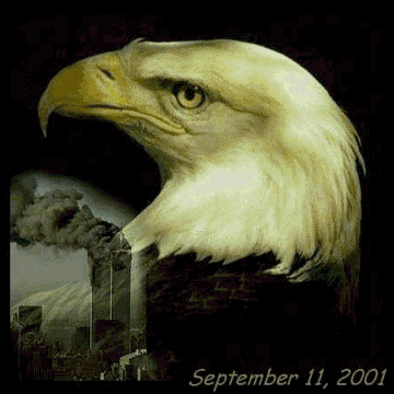 Eagle Crying